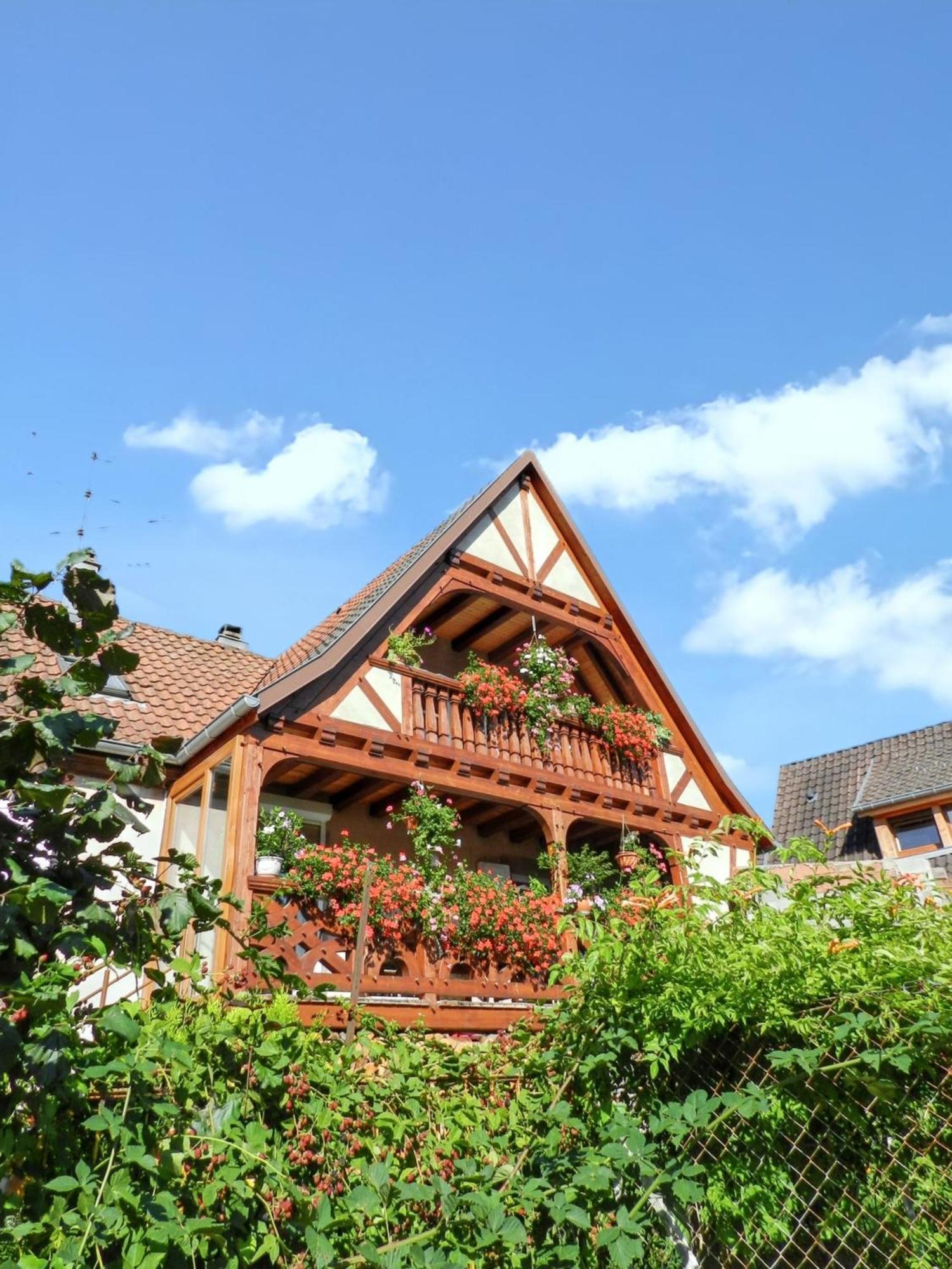 Maison Charmante Avec Vue Sur La Montagne A Triembach-Au-Val Exteriör bild
